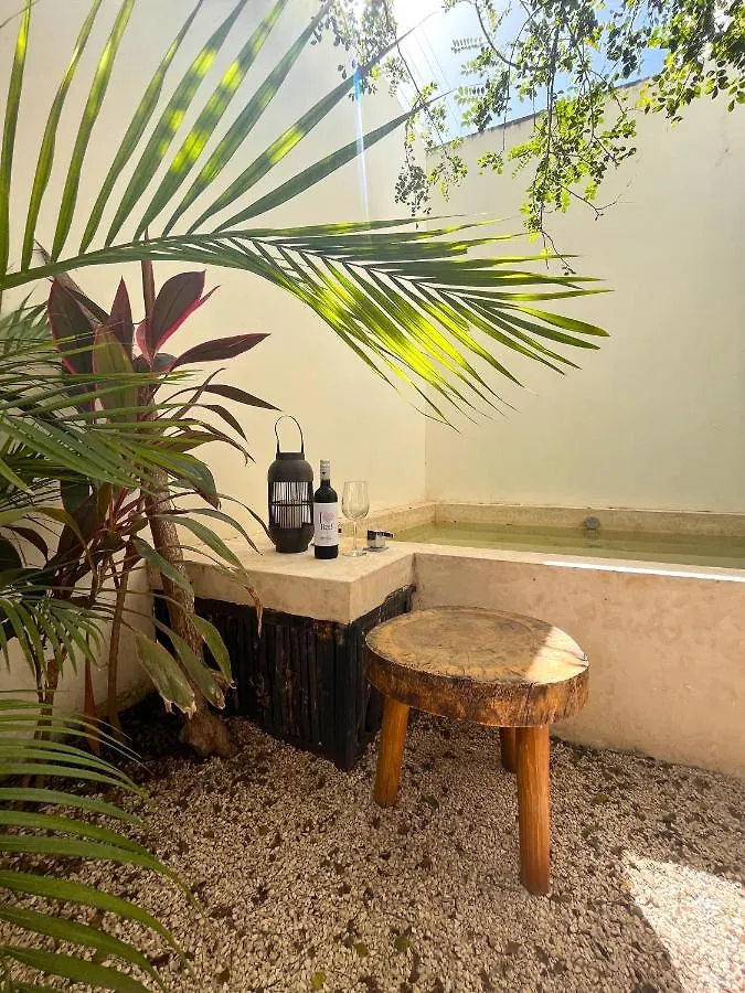 Condo Jungle Apartment & Private Patio Tulum